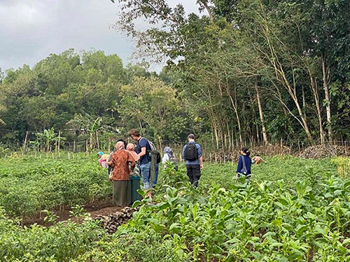 A group of UQ students exploring local farms with the women’s farmer group, KWT, in the rural village of Ngoro-oro, Gunung Kidul, Yogyakarta province. 