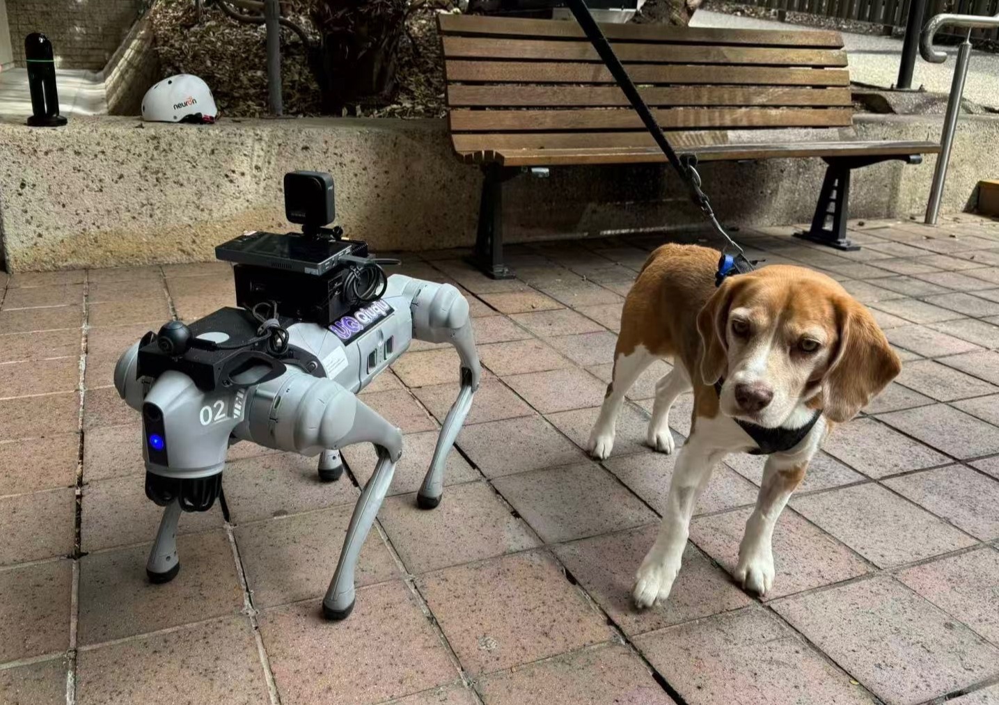 A grey Unitree Go2 robot dog with a camera rig on its back stands on paving next to Milo, a beagle on a lead, beside a wooden bench.